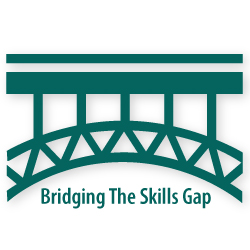 bridge ; skills gap