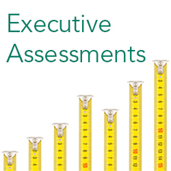 image of rulers executive assessments 