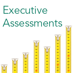 image of rulers executive assessments