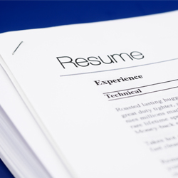 image of a standard resume 